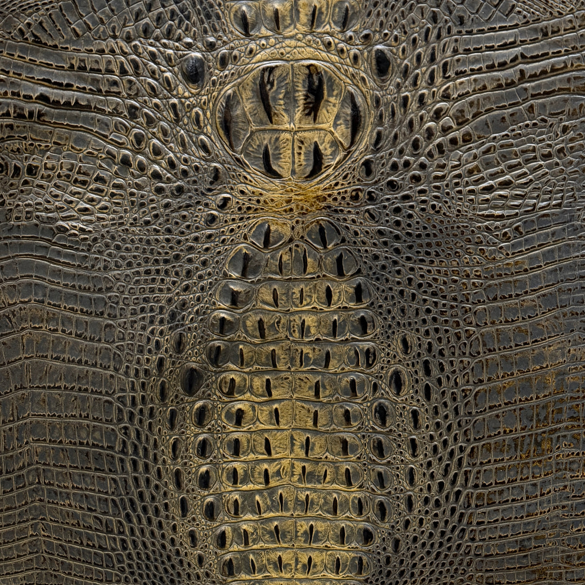 Bayou Croc Collection