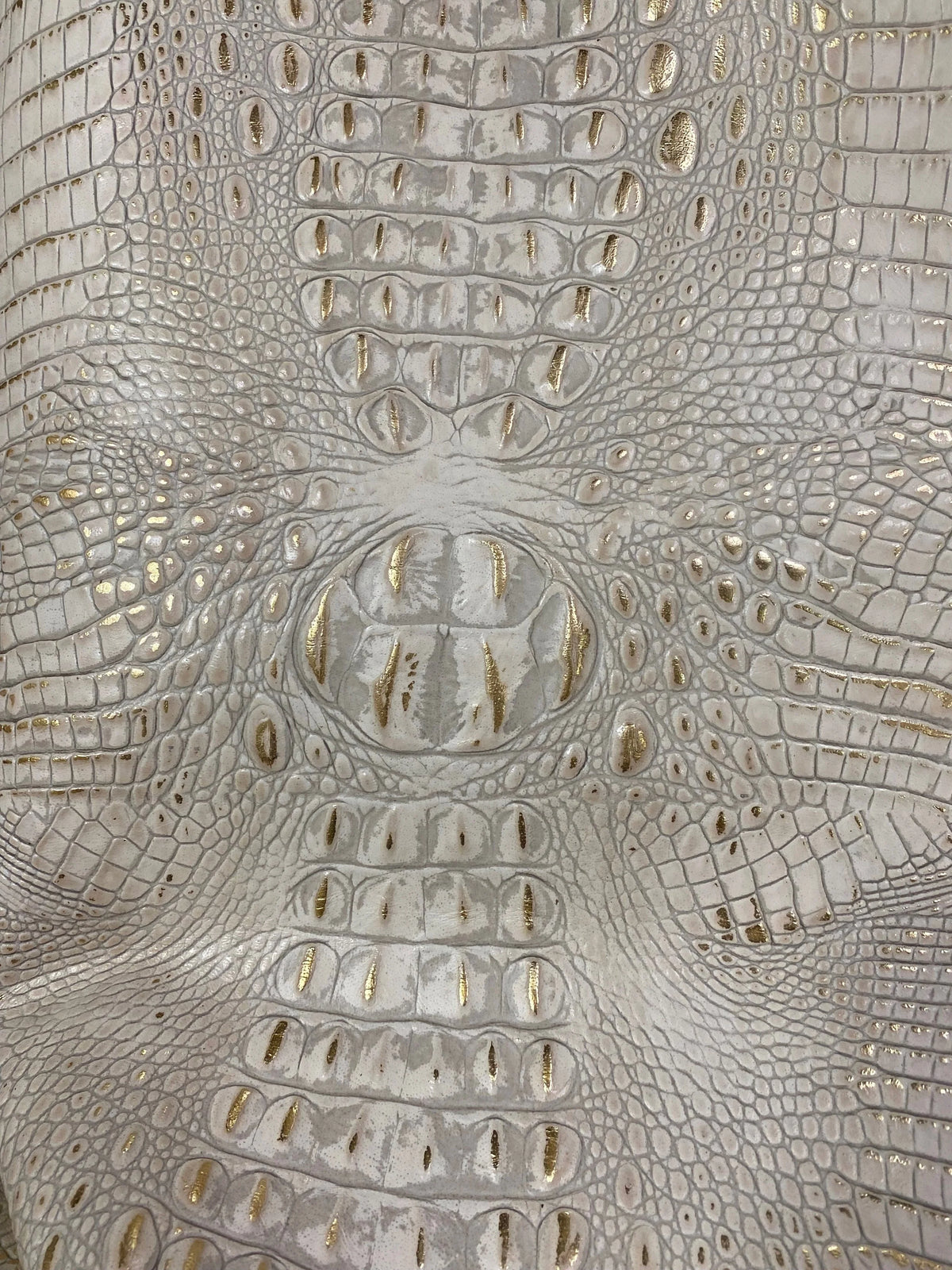 Embossed Crocodile Leather Collection