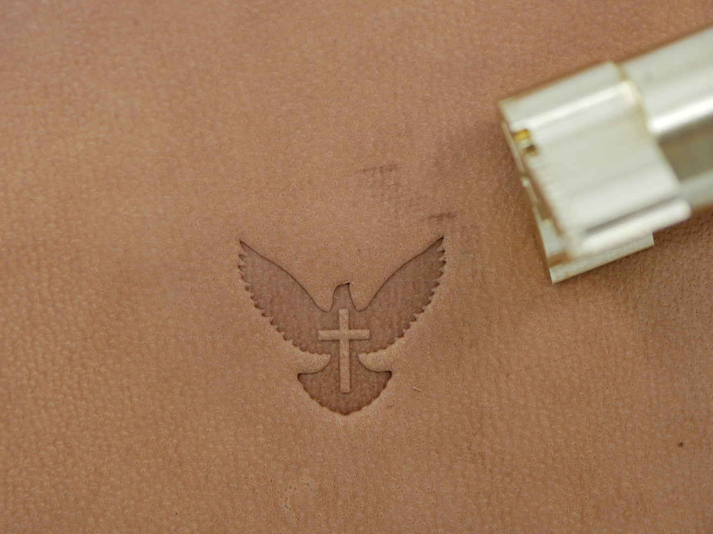 Holy Spirit B244