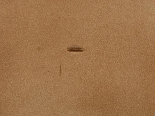 SS Horizontal Beveler