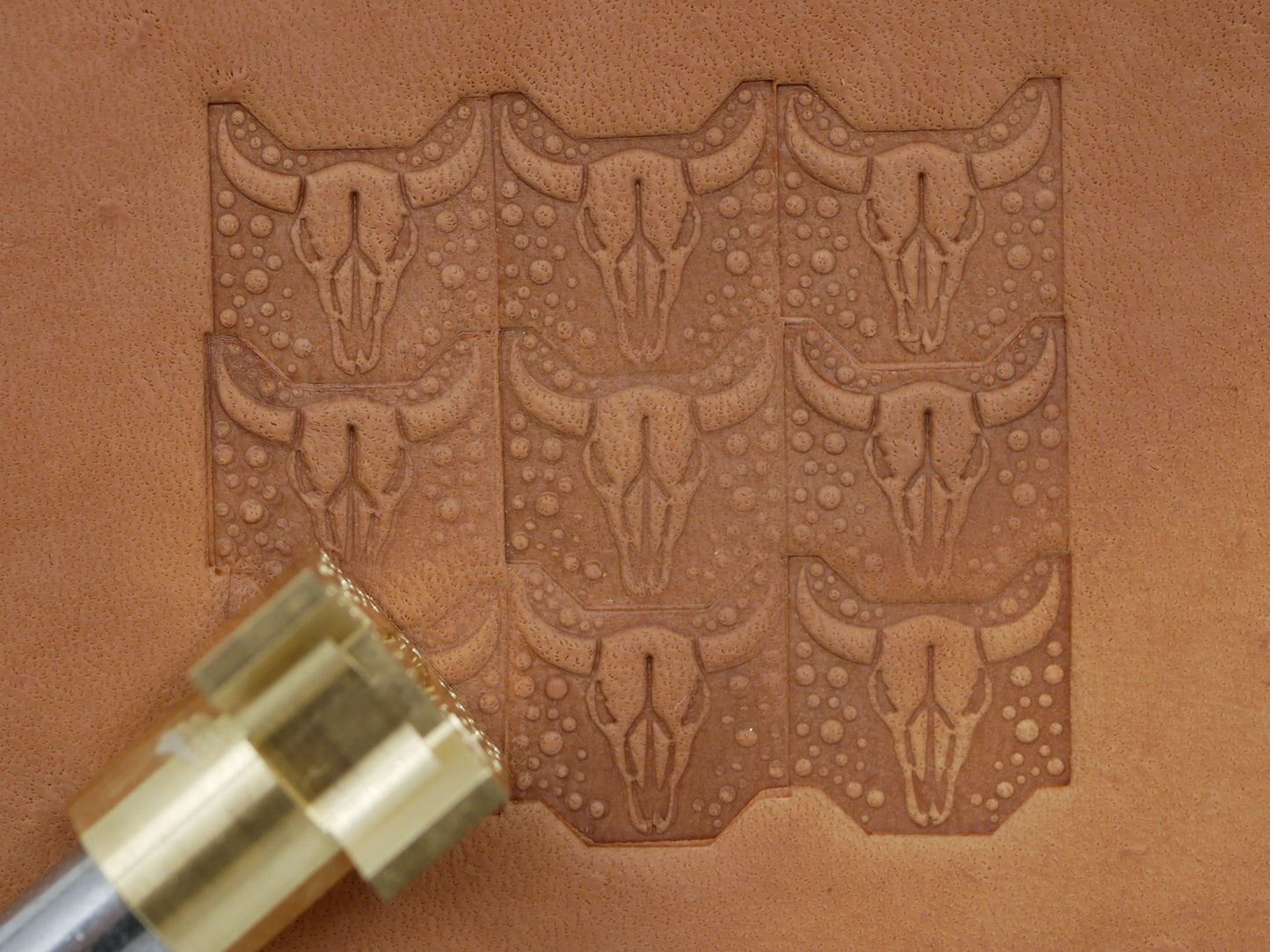Longhorn Skull Geometric B250