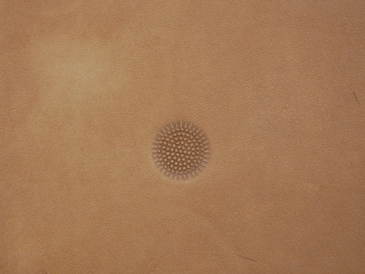 Sunflower Center B128