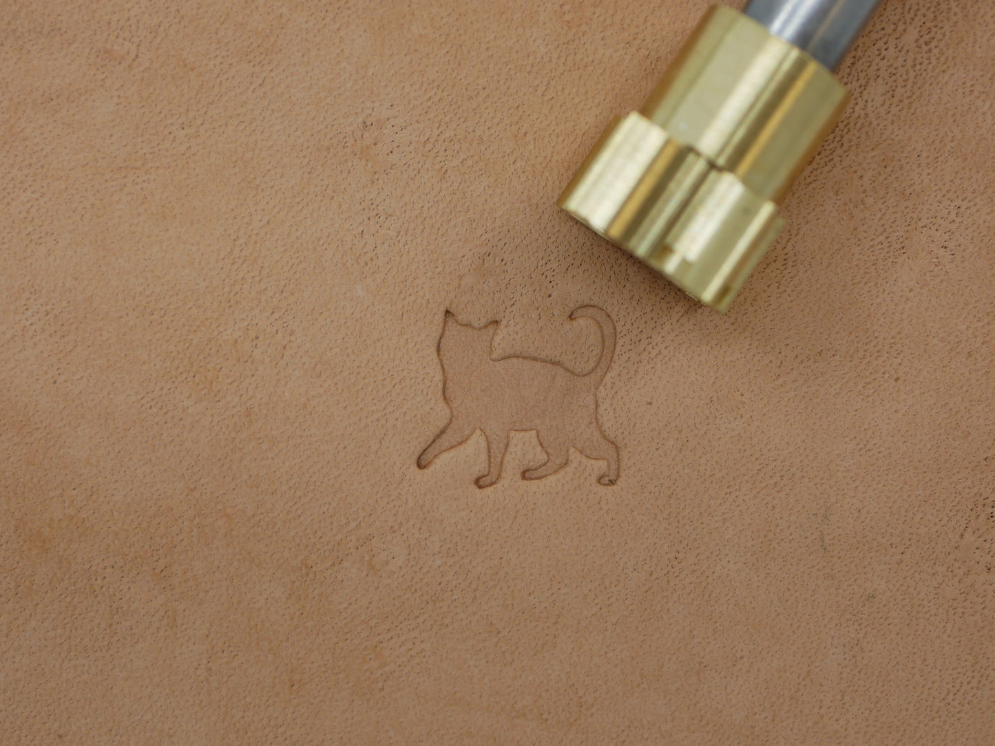 Cat Silhouette B235