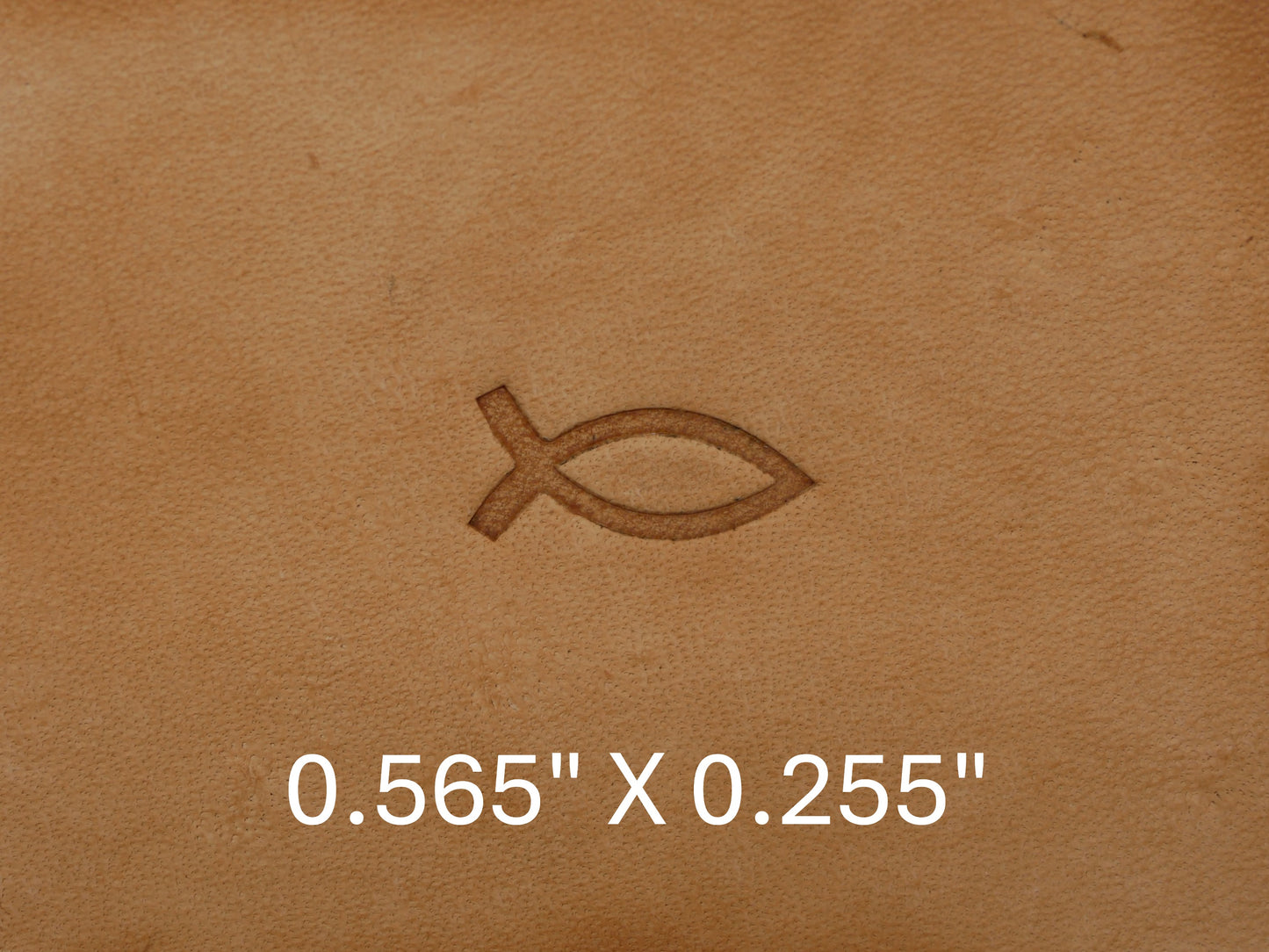 Icthys Jesus Fish B234