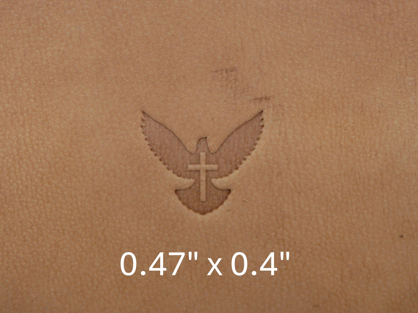 Holy Spirit B244