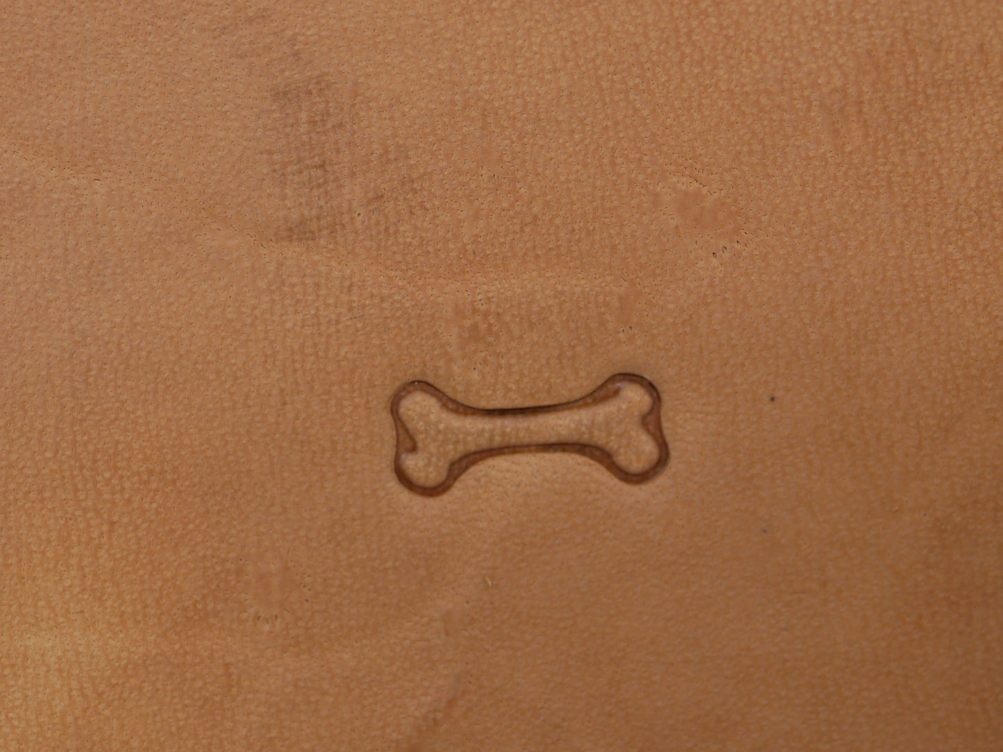 Bone Border B236