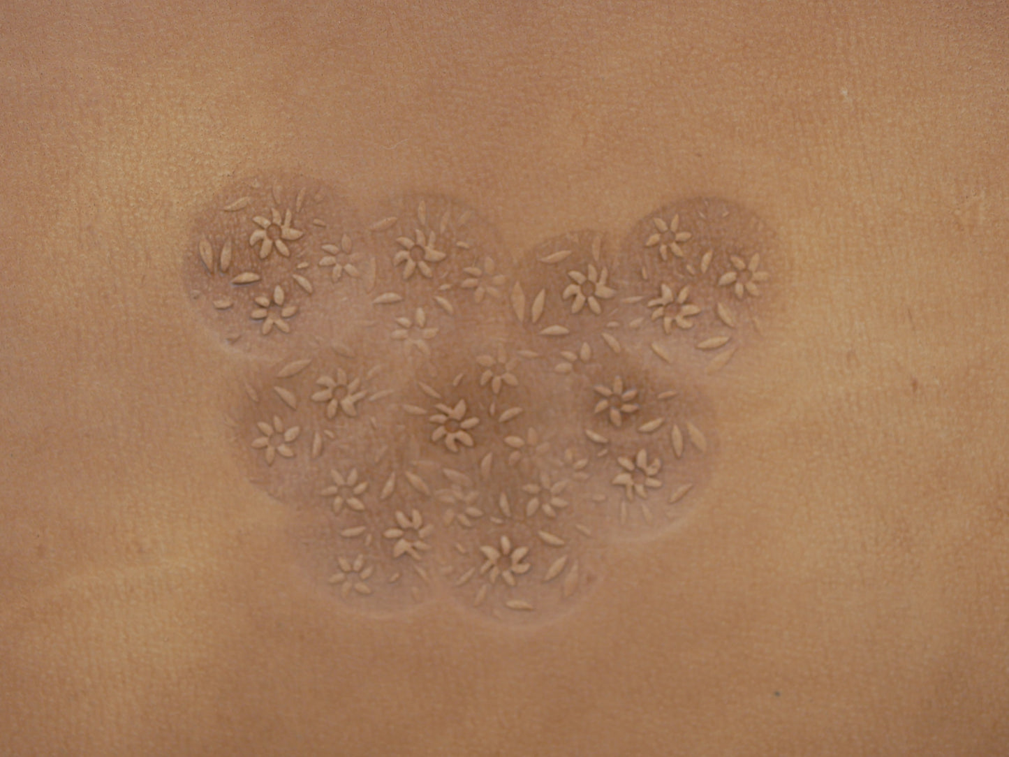 Floral Texture Background B247