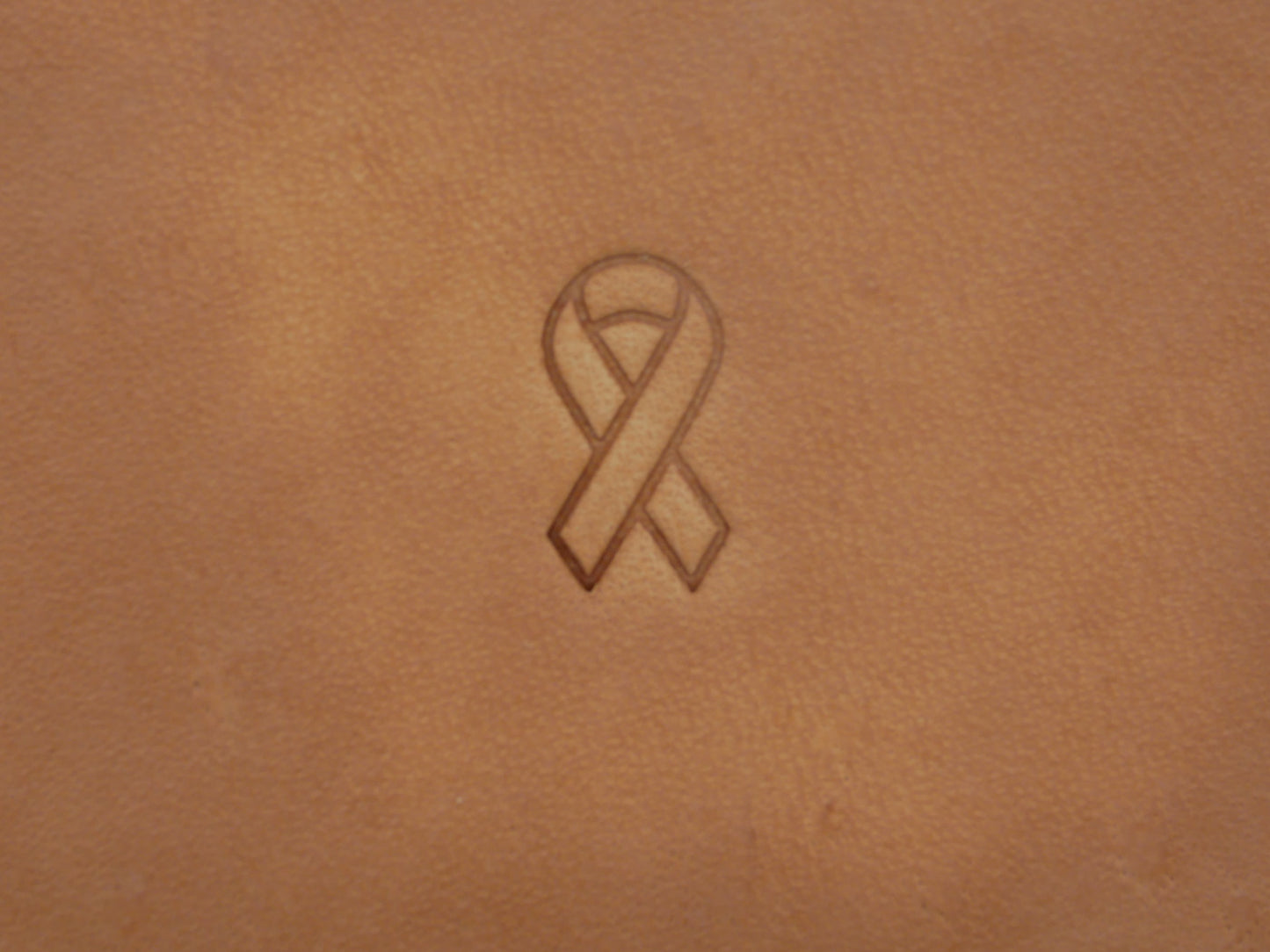 Breast Cancer Ribbon B255
