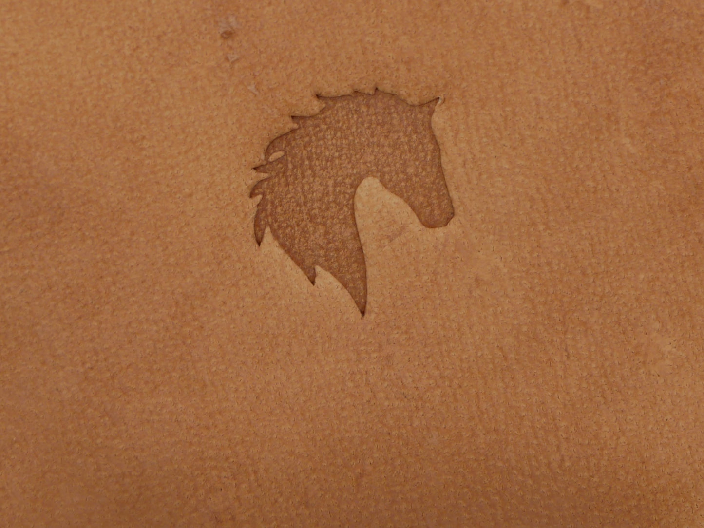 Horse Head Silhouette B259
