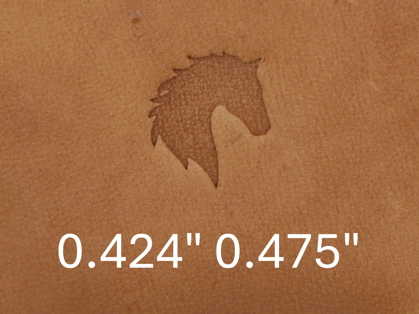 Horse Head Silhouette B259