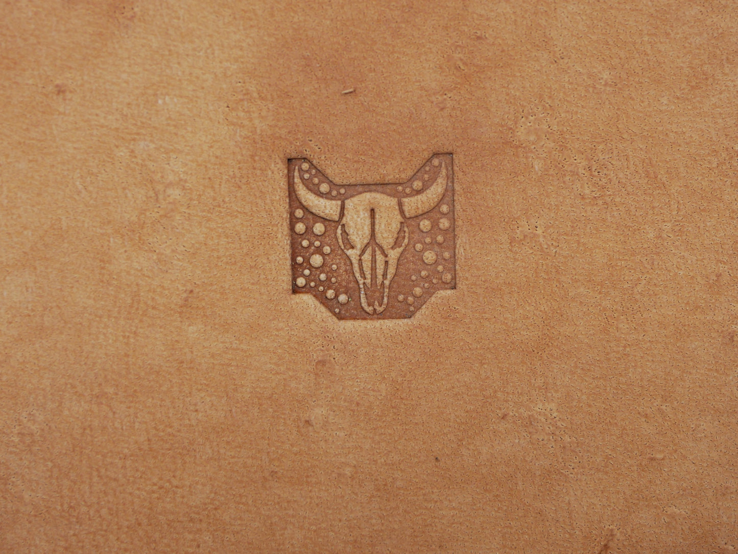 Longhorn Skull Geometric B250
