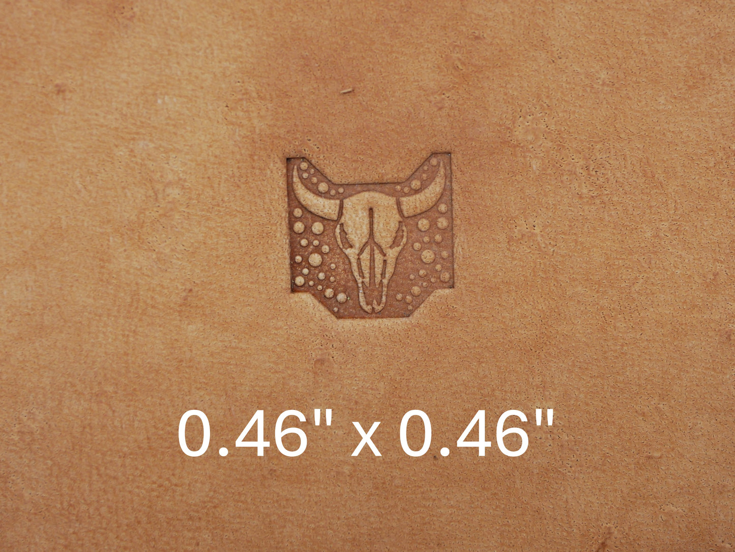 Longhorn Skull Geometric B250