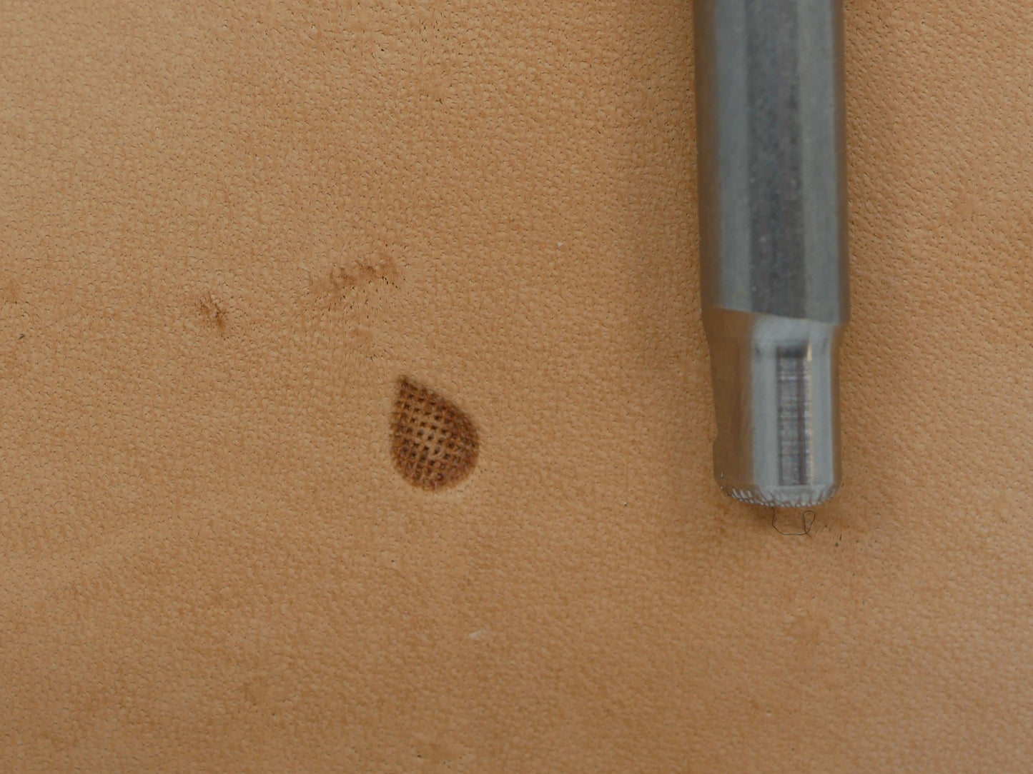 SS Checkered Backgrounder