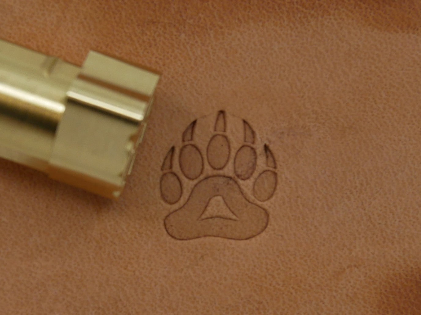 Bear Paw B355