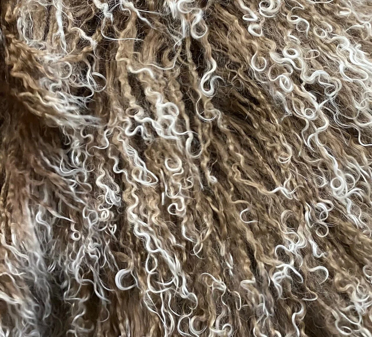 Tibetan Lamb Collection