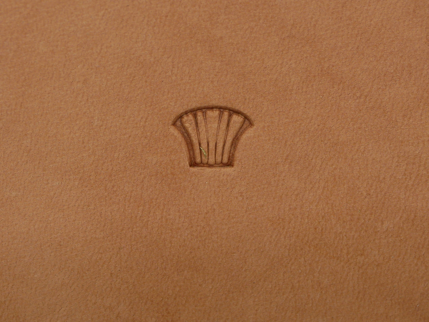 Classic Shell Weave Short Border B320