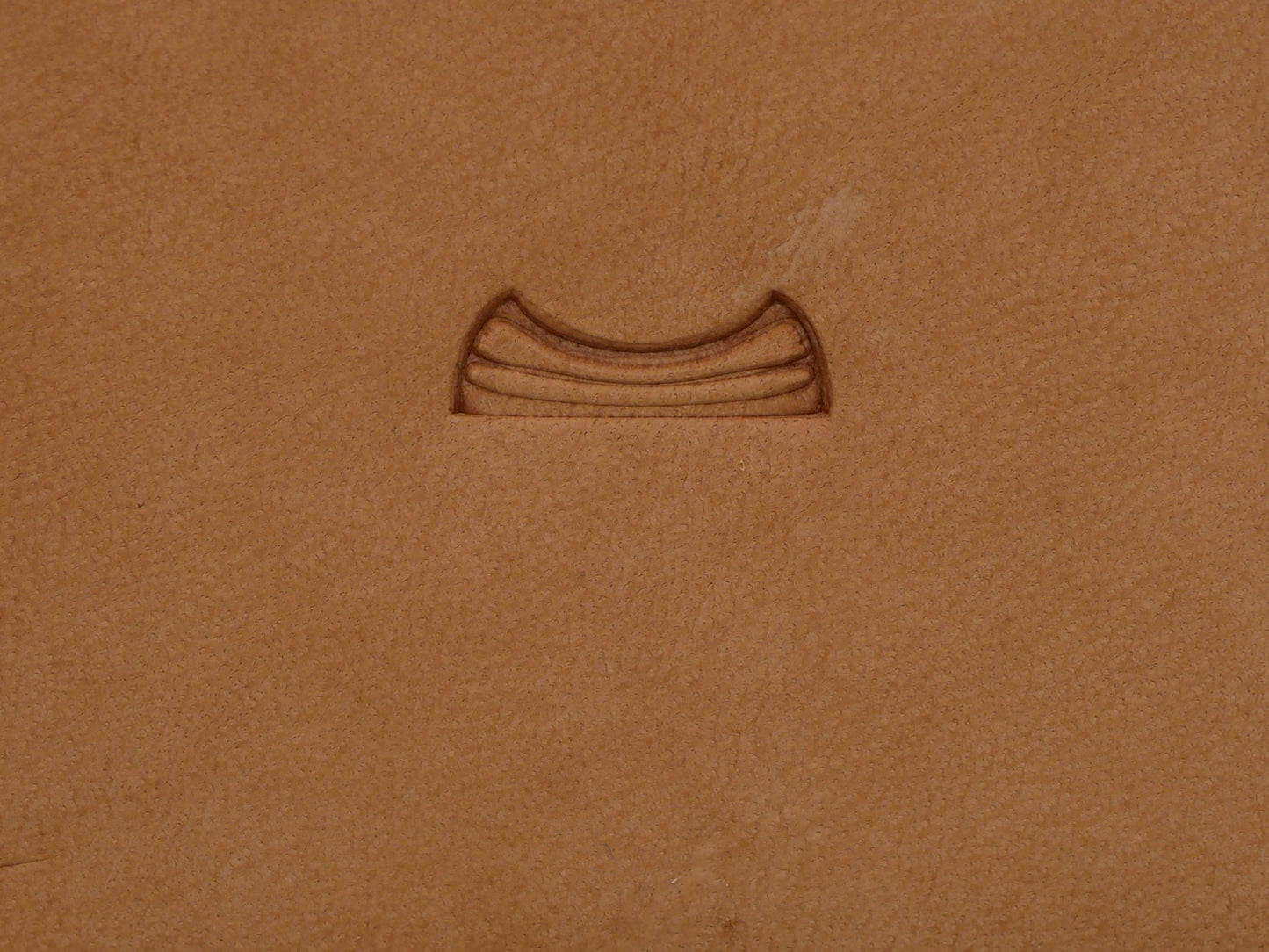 Classic Shell Weave Long Border B321