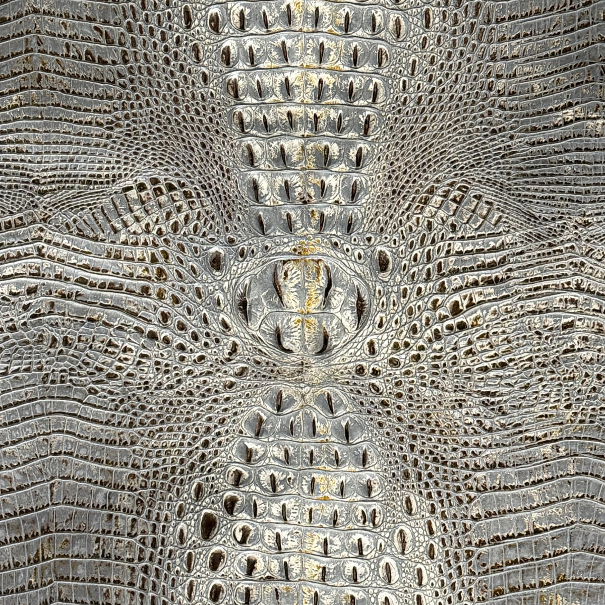 Bayou Croc Collection