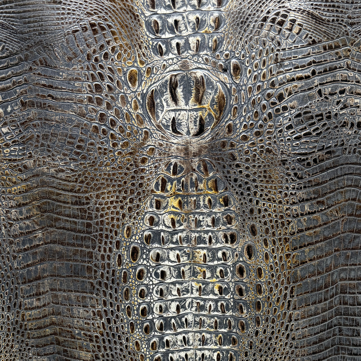 Bayou Croc Collection
