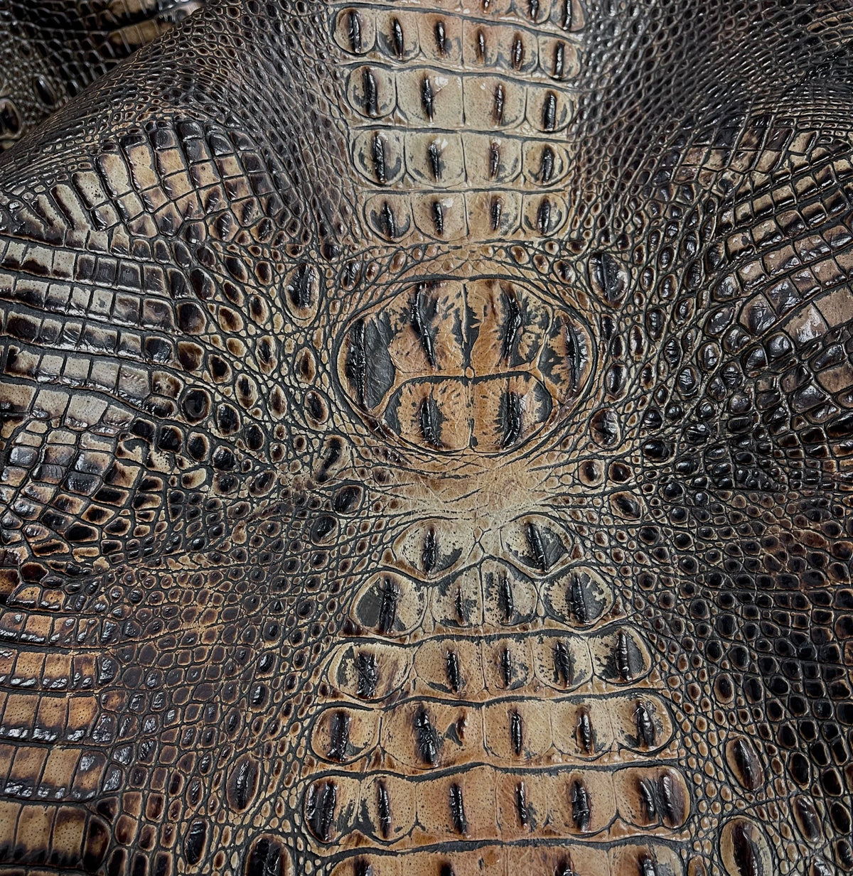 Embossed Crocodile Leather Collection