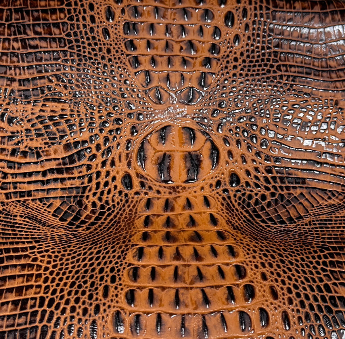 Embossed Crocodile Leather Collection