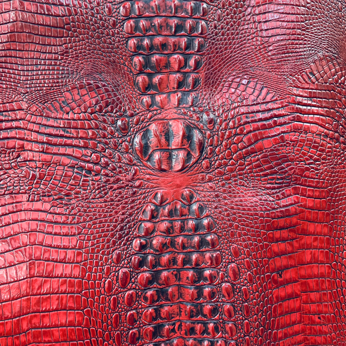 Embossed Crocodile Leather Collection