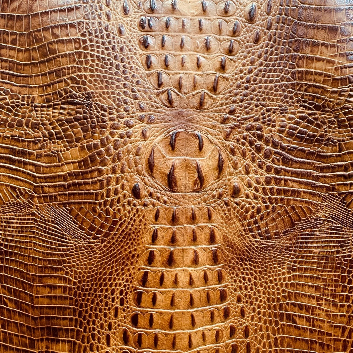 Embossed Crocodile Leather Collection