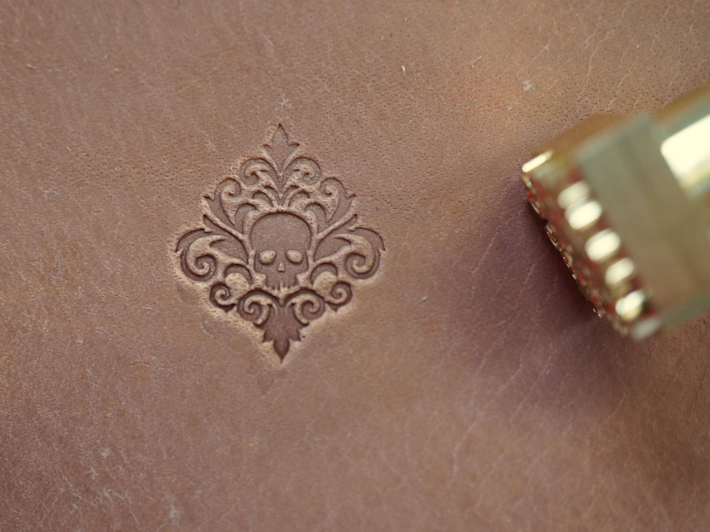 Gothic Skull Pattern B338