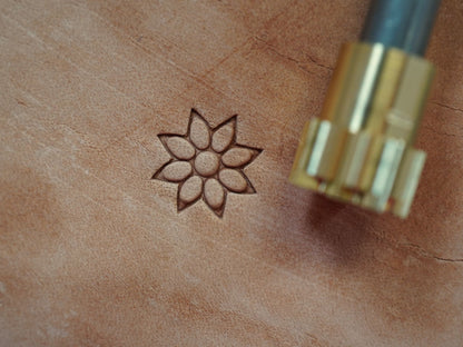 Starflower B335