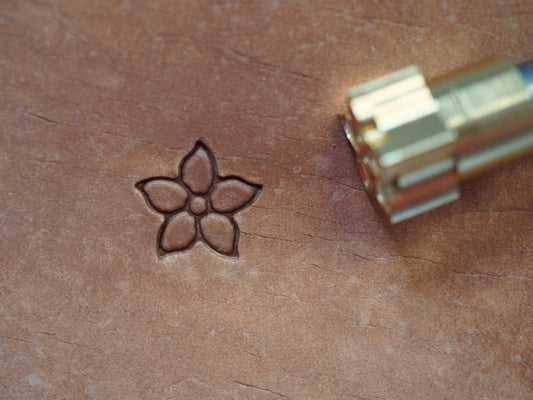 Pinwheel Flower B336