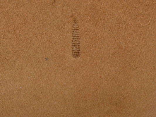 SS Horizontal Thumbprint