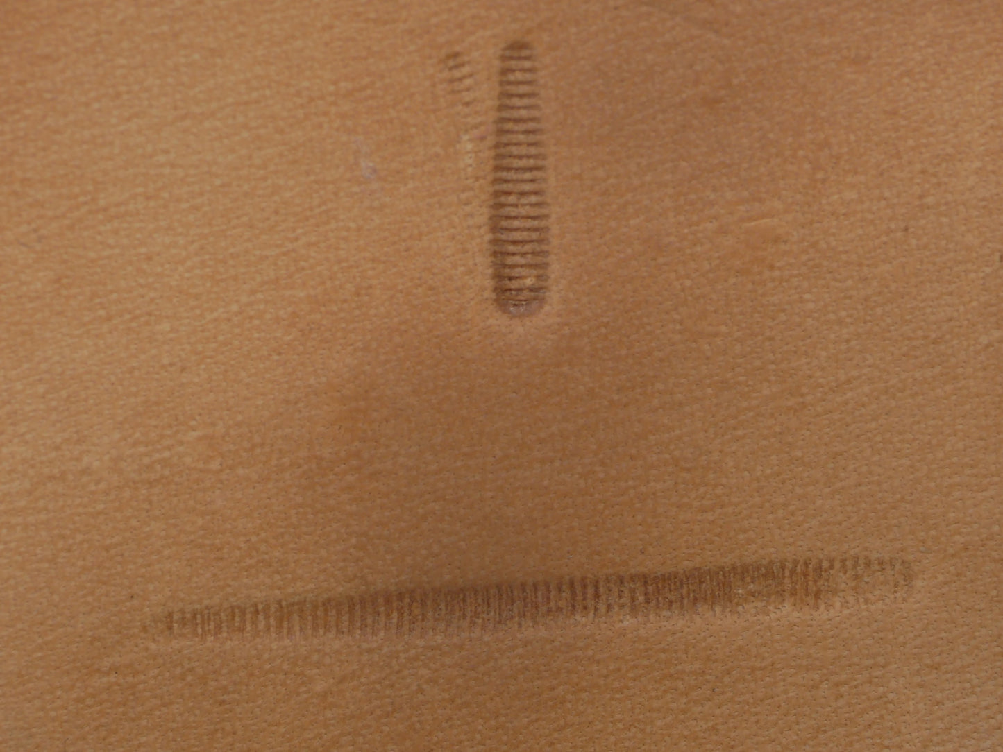 SS Horizontal Thumbprint