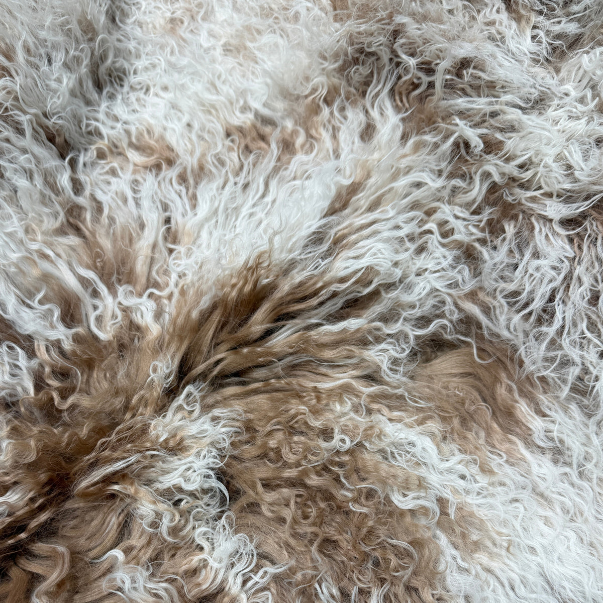 Tibetan Lamb Collection