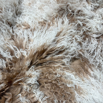 Tibetan Lamb Collection