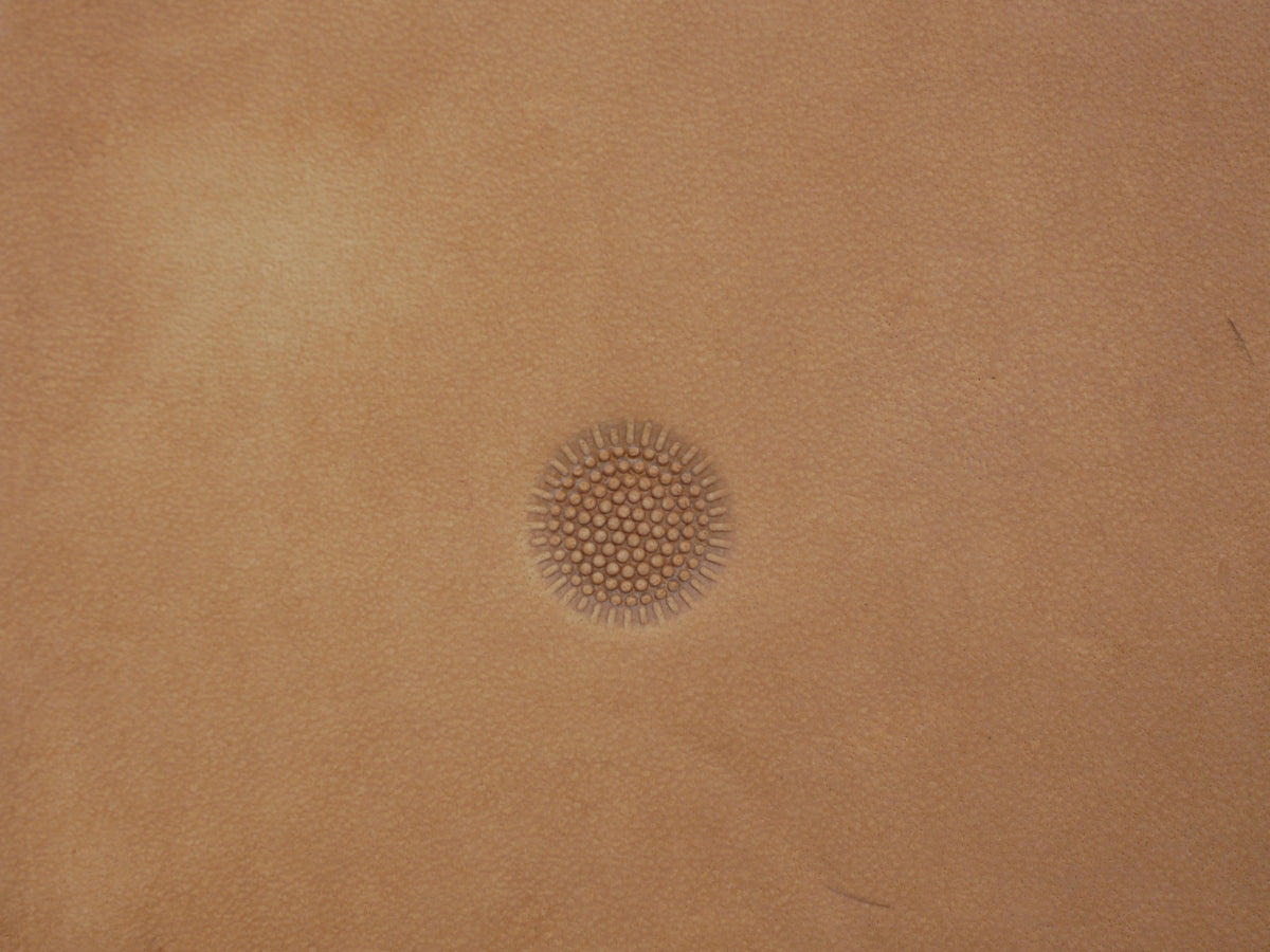 Sunflower Center B128