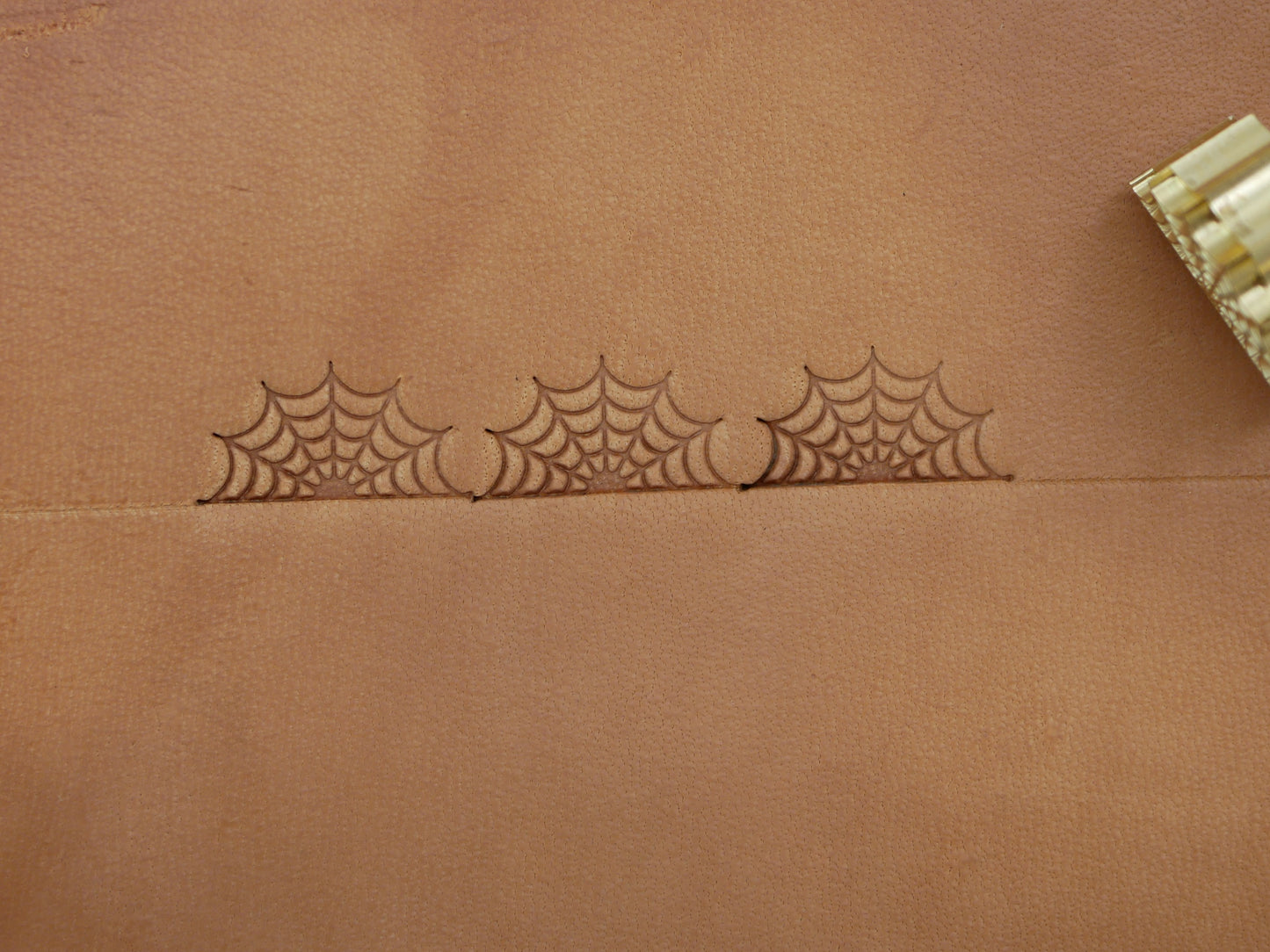 Spiderweb Border B204