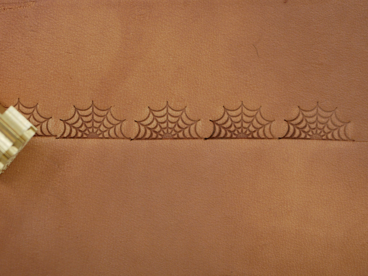 Spiderweb Border B204