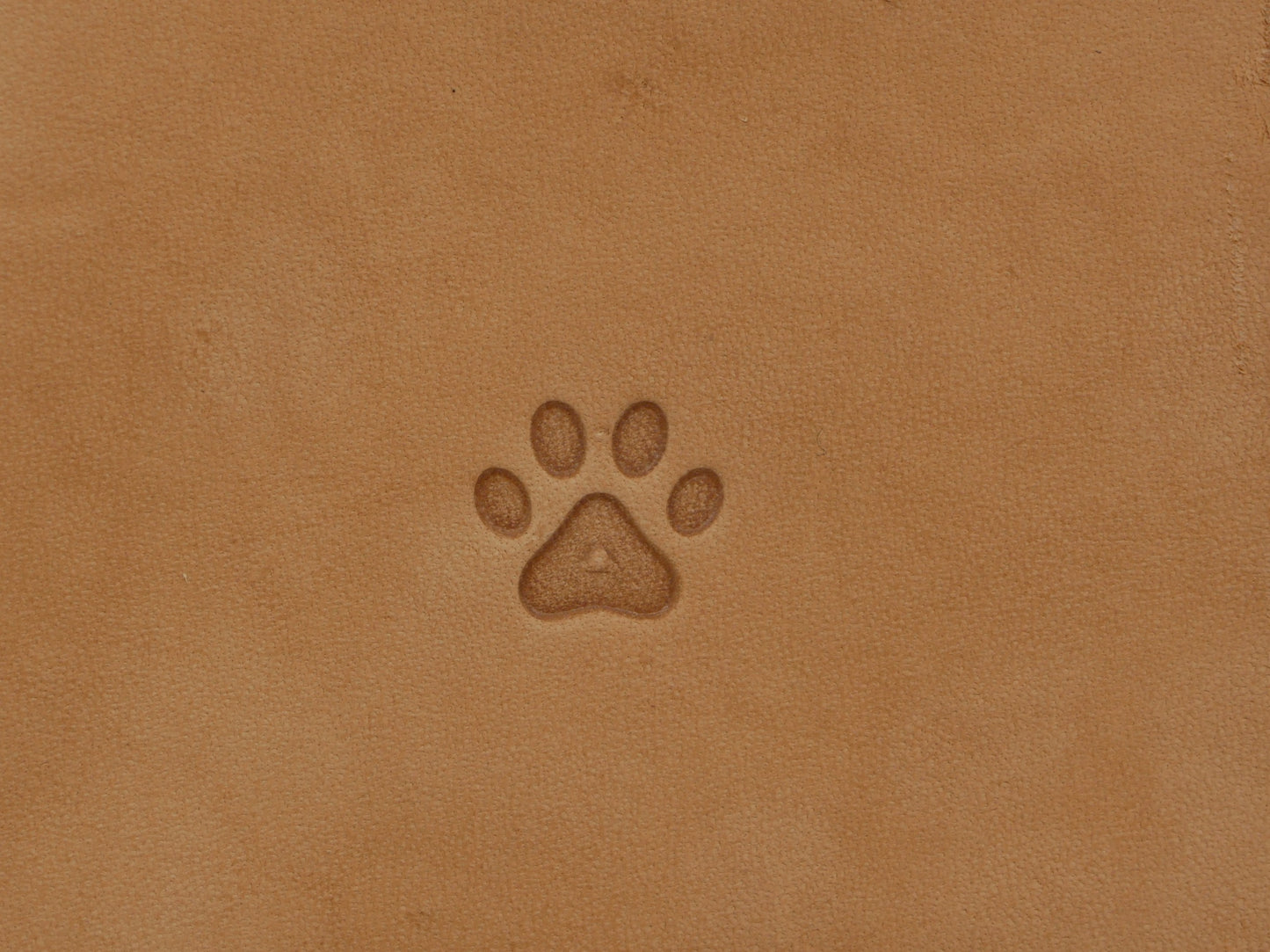Dog Paw B206