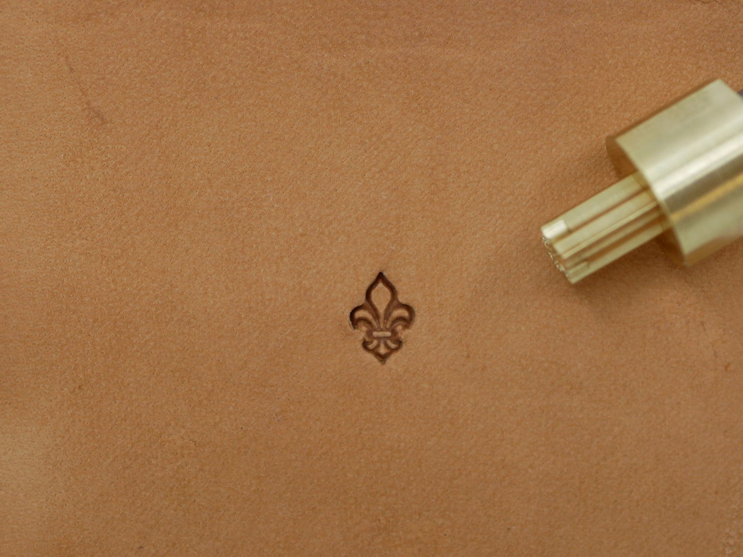 XS Fleur De Lis B228