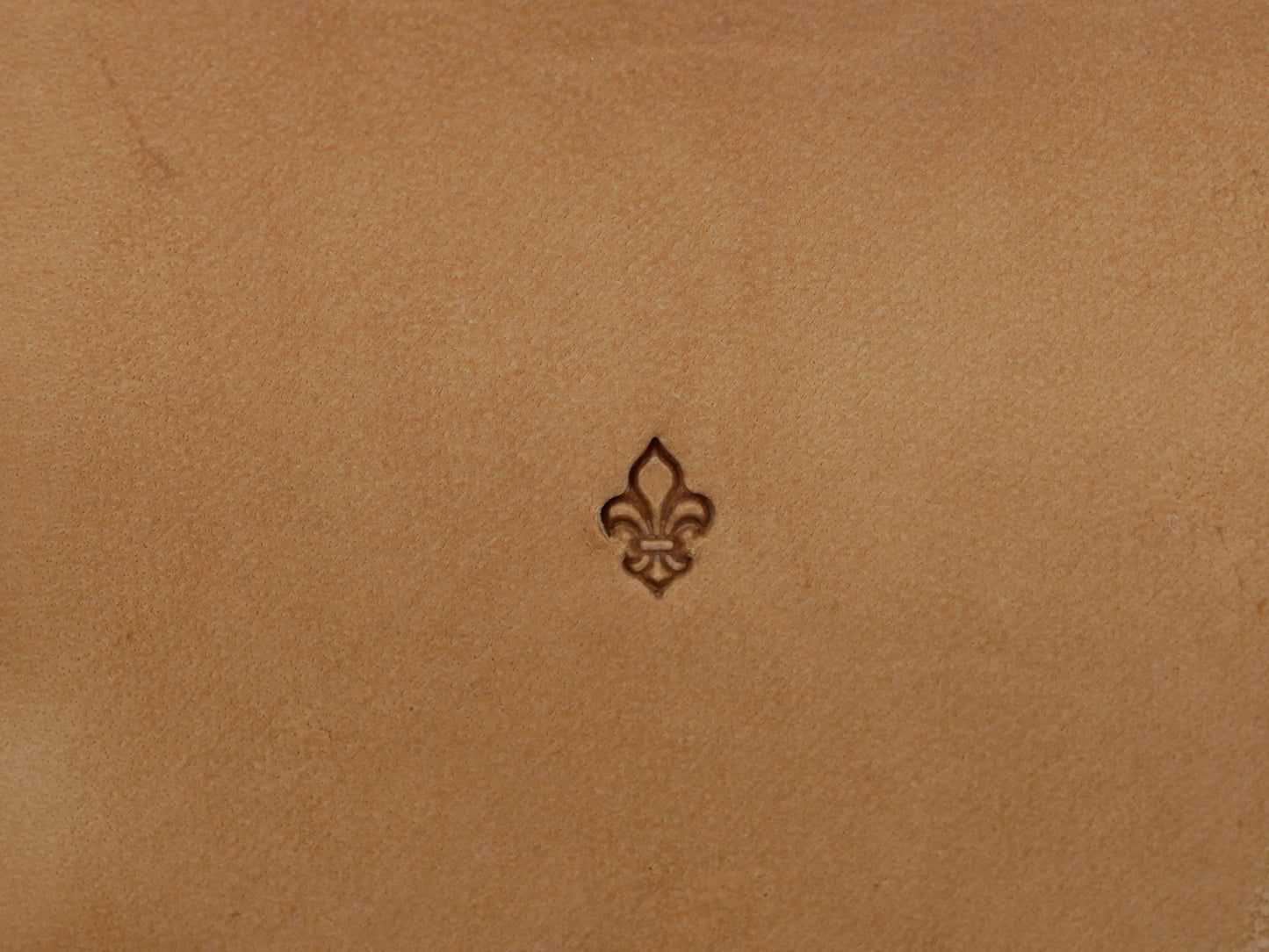 XS Fleur De Lis B228