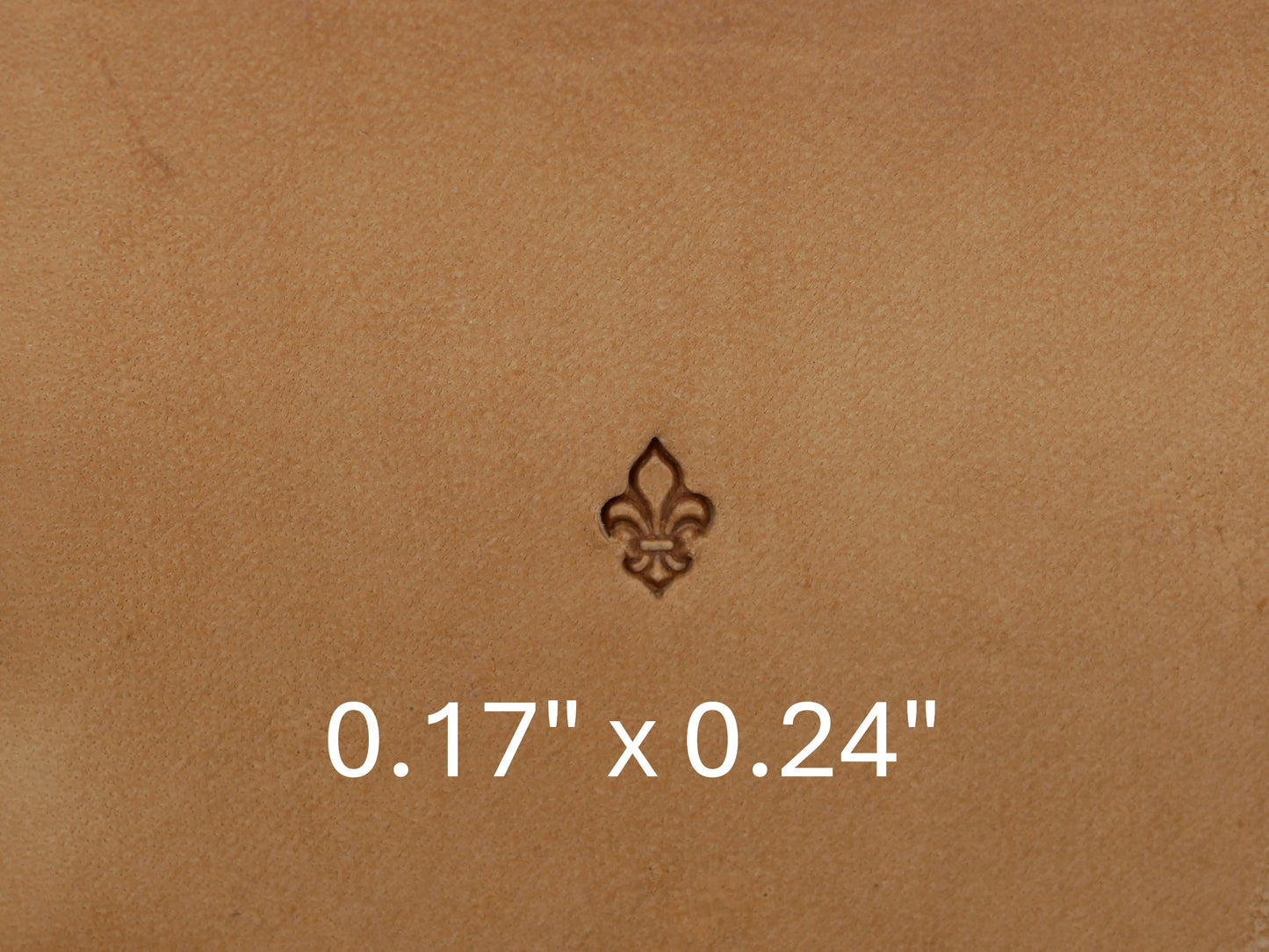 XS Fleur De Lis B228