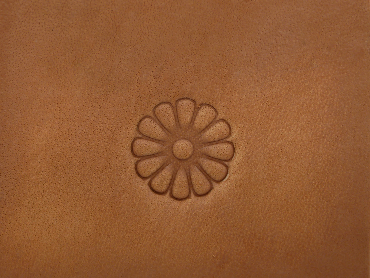 Daisy Flower B174