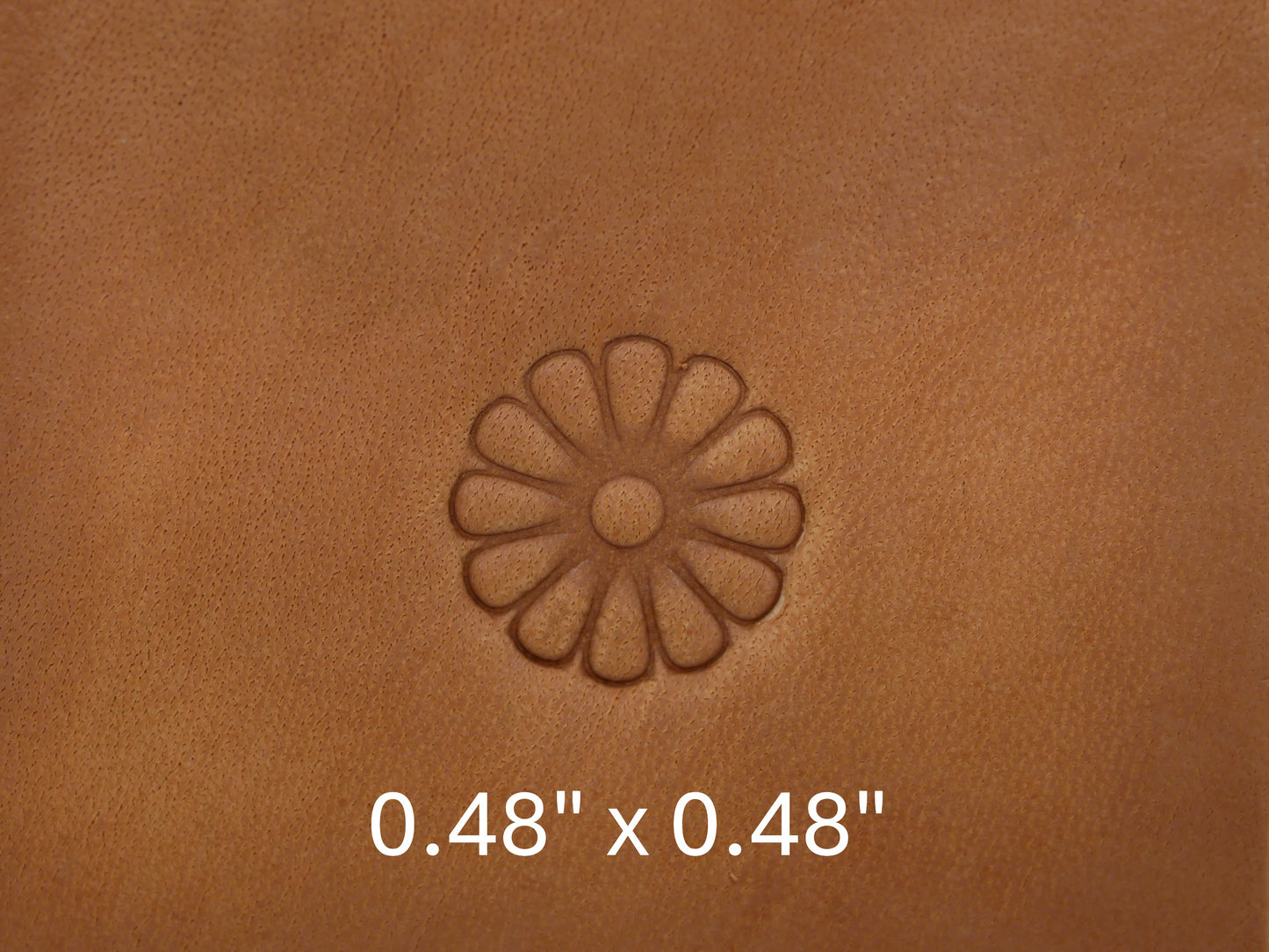 Daisy Flower B174
