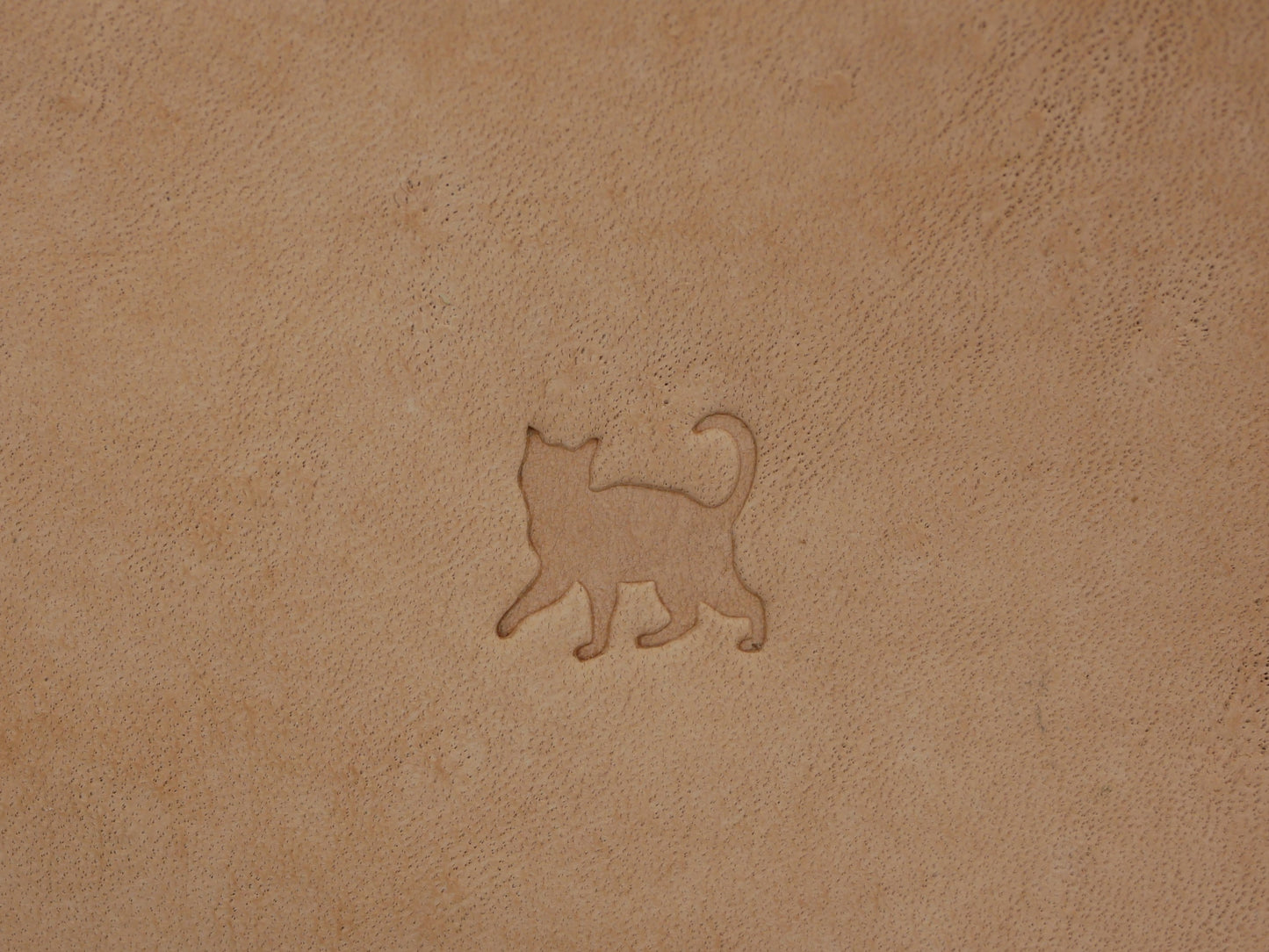 Cat Silhouette B235