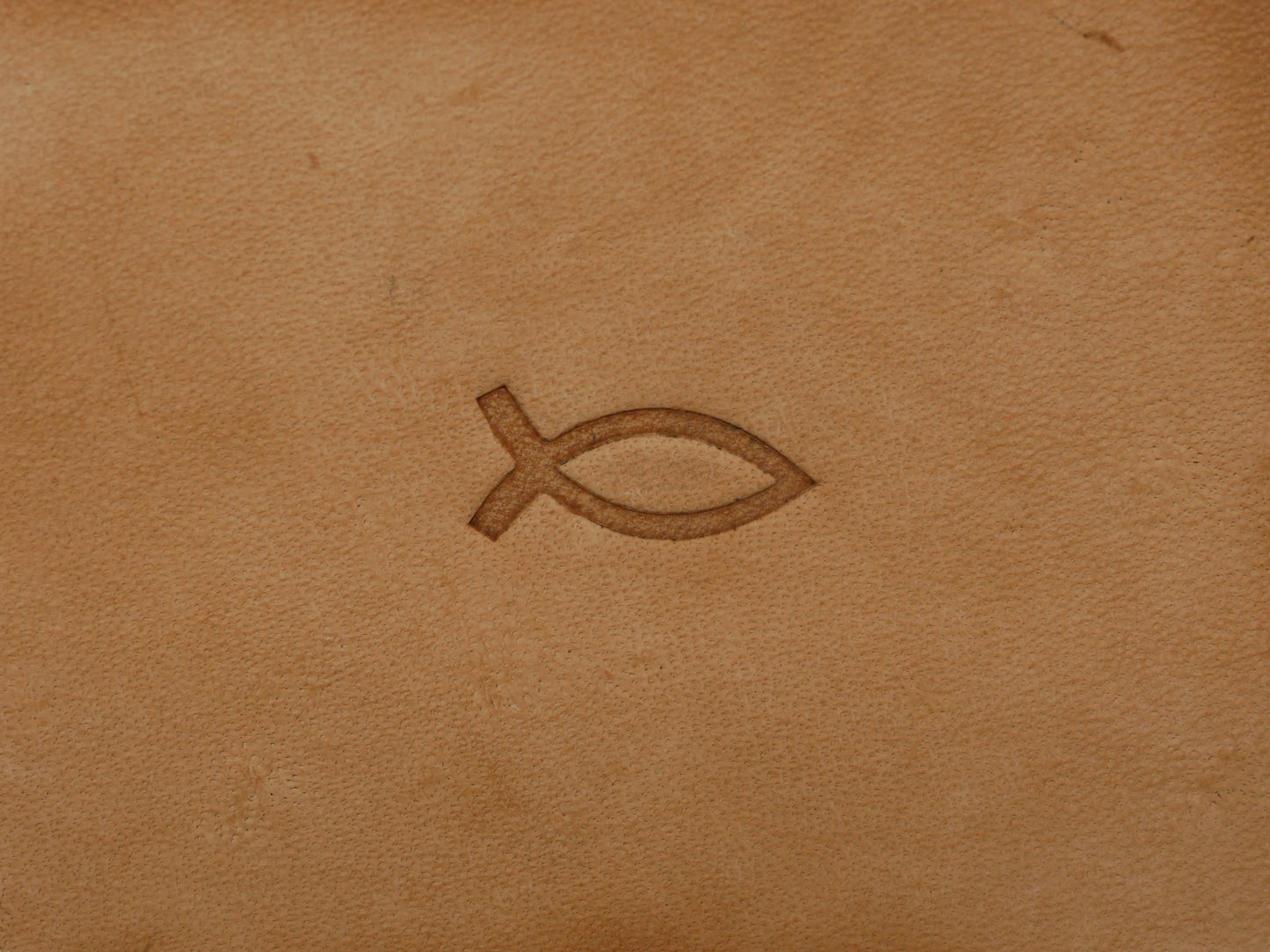 Icthys Jesus Fish B234