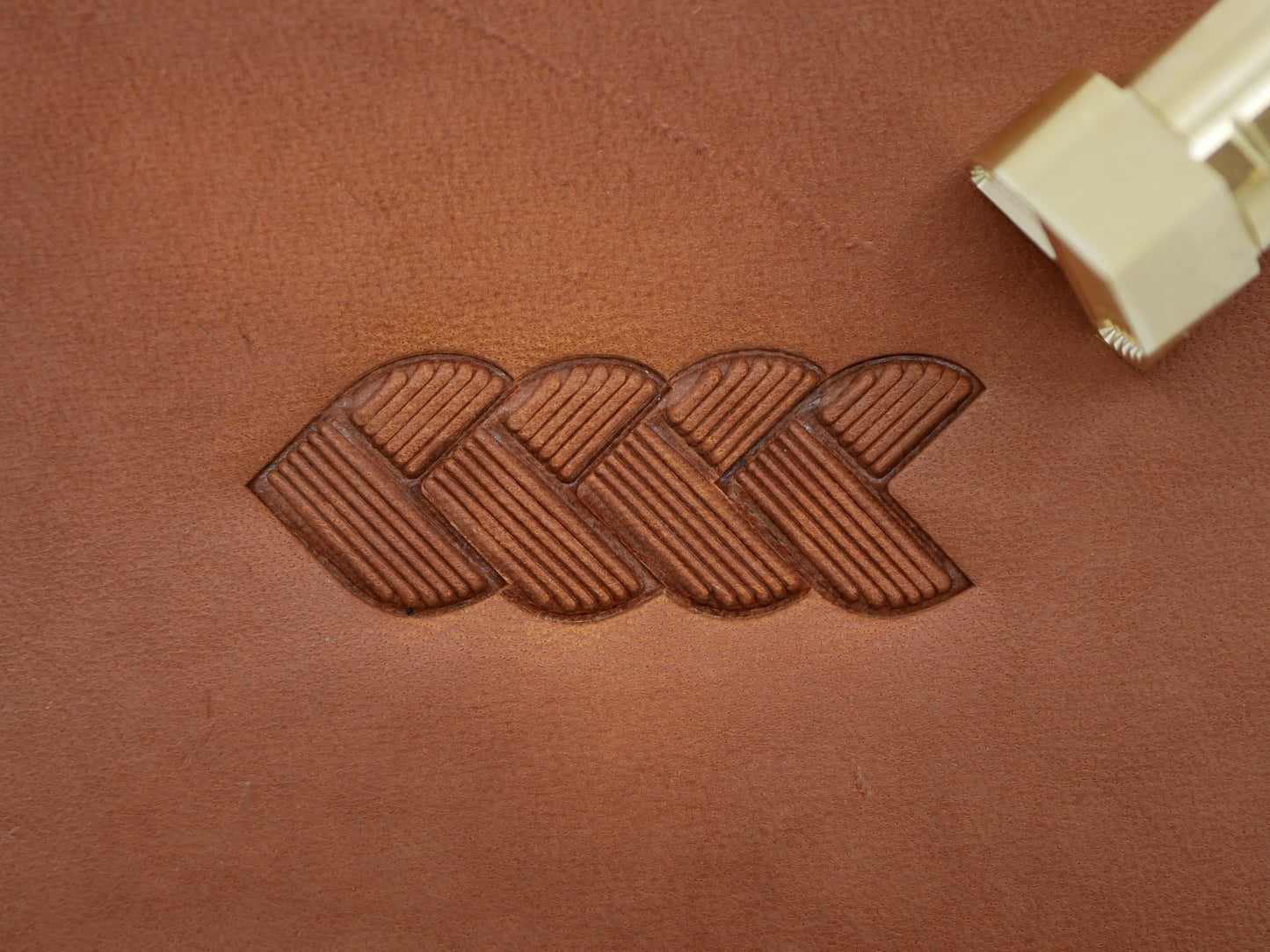 Lined V-Braid Border B274