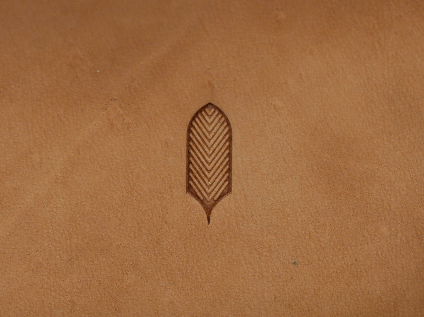 Feather Pattern B278