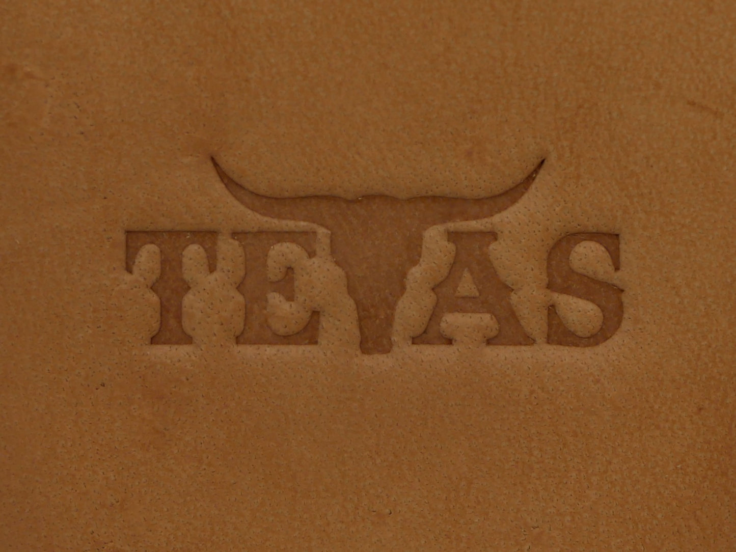 Texas Longhorn Plate Stamp