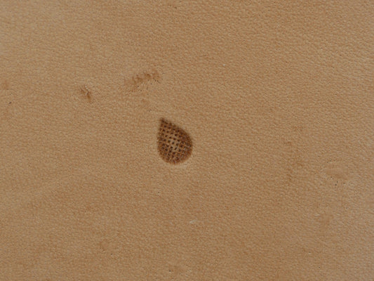 SS Checkered Backgrounder