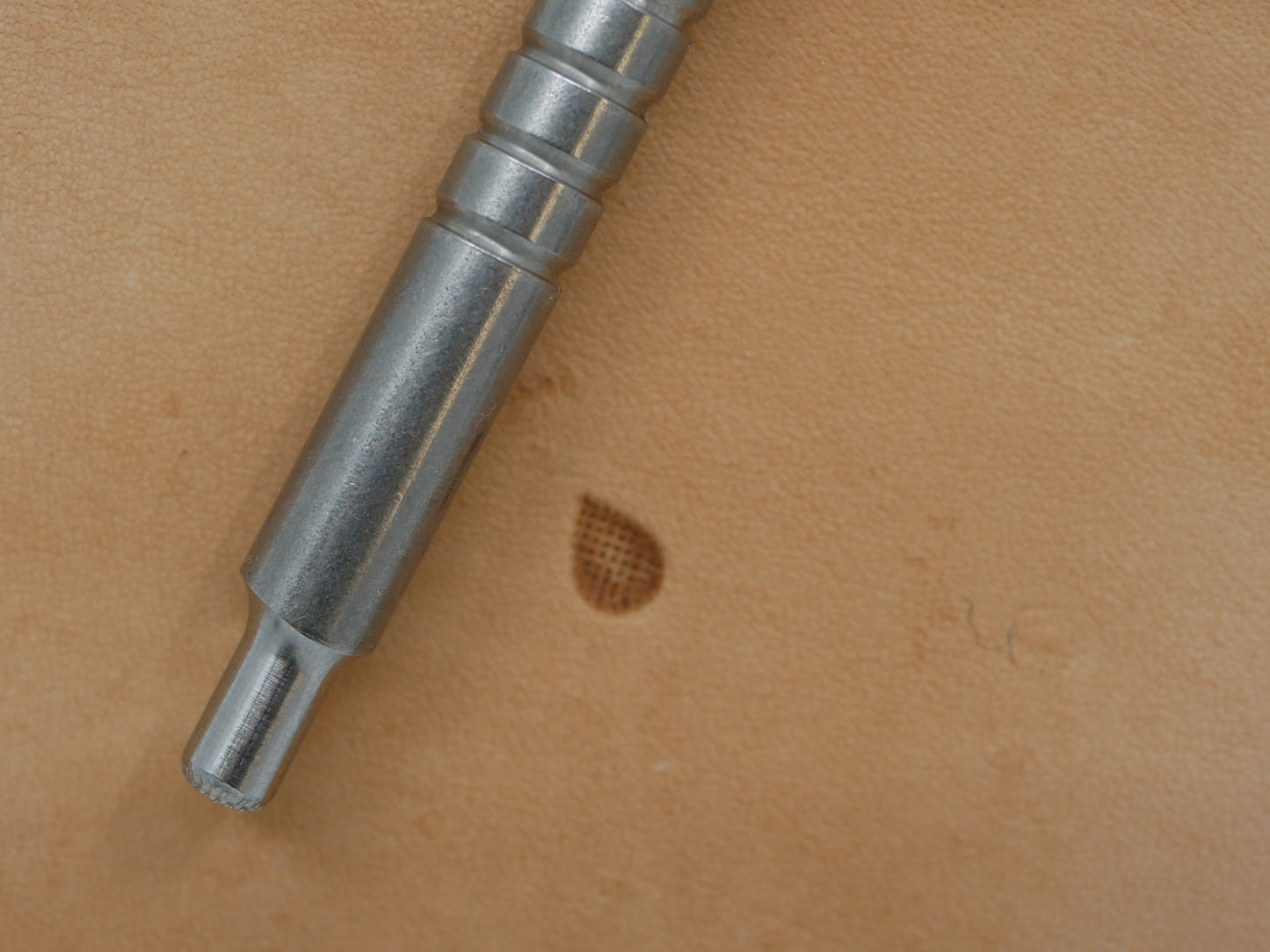 SS Checkered Backgrounder